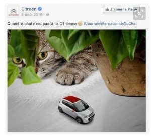 citroen_chat