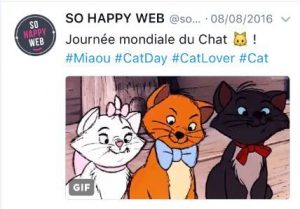 journee_chat_shw