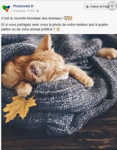 Journée des animaux