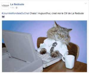 Journée mondiale du chat La Redoute
