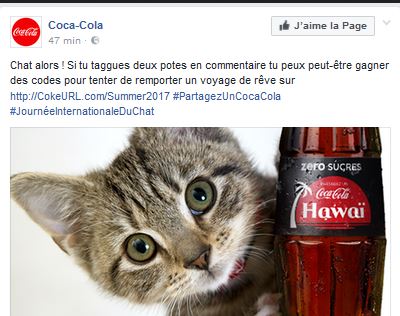 Journee internationale du chat