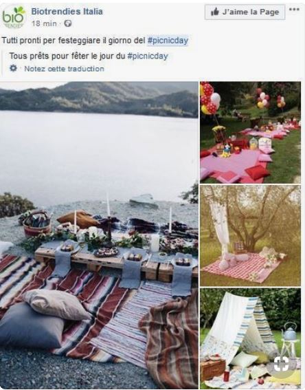 Journée du pique nique