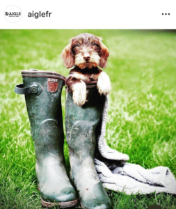 L'Aigle - photo instagram