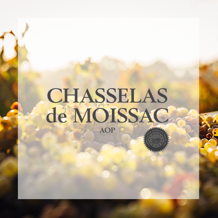 Chasselas de Moissac, référence client agence SO HAPPY WEB