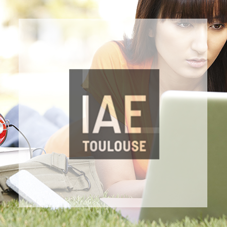 Logo IAE Toulouse