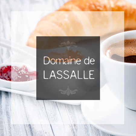 Logo Domaine Lassalle gîte de France