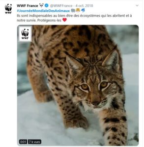 Journee_mondiale_animaux_wwf