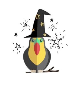 Le Community Manager est un magicien