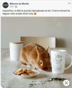 Journee mondiale du thé