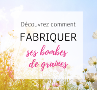 atelier bombes de graines